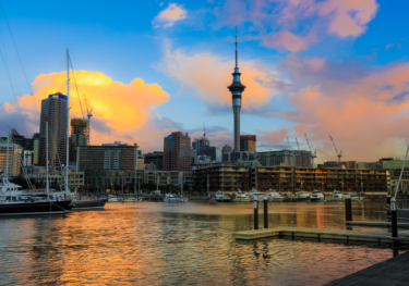 New Zealand Macro Service