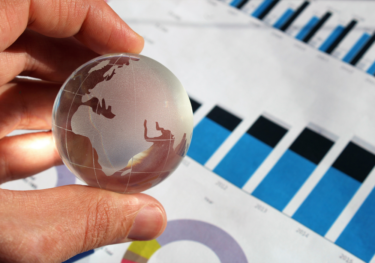 New Zealand Macro Service - Transparent Model